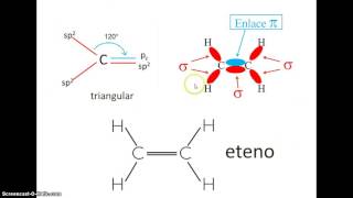 Hibridación del carbono [upl. by Debor]