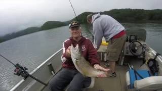 Parksville  Ocoee Lake Brown Trout Caught on Film [upl. by Ayian29]