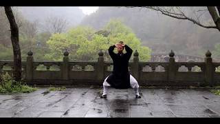 Authentic Wudang Tai Chi 28 [upl. by Rikahs]