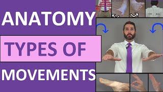 Body Movement Terms Anatomy  Body Planes of Motion  Synovial Joint Movement Terminology [upl. by Adnyc]