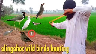 slingshot wild birds hunting [upl. by Kablesh462]