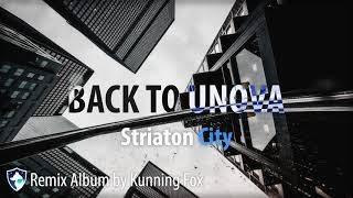 Striaton City Back to Unova  Remix Album by Kunning Fox Pokemon Remix BackToUnova [upl. by Adest]