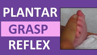 Plantar Grasp Reflex in Infant Newborn  Pediatric Nursing Assessment [upl. by Zeculon]