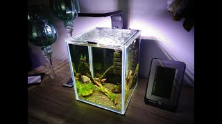 141 Lampka Aquael Leddy Smart 6W Plant czyli zmiana oświetlenia w krewetkarium 10l [upl. by Elijah]