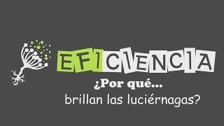 ¿POR QUÉ BRILLAN LAS LUCIÉRNAGAS Cortejo y Bioluminiscencia Luciferina [upl. by Donall]