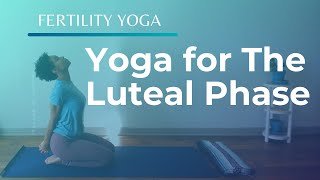 15Minute Fertility Yoga  Yoga Poses for the Luteal Phase of Your Cycle [upl. by Dosia125]