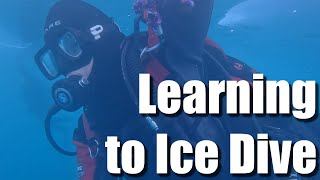 Learning to Ice Dive [upl. by Nnayllas]