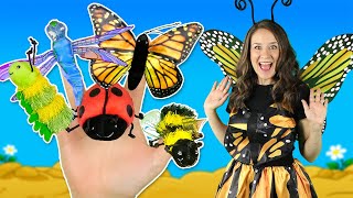 Finger Family Bugs 🐞🐛🦋 Learn about insects and Mini Beasts with the Finger Family Song for Kids [upl. by Yrhcaz]