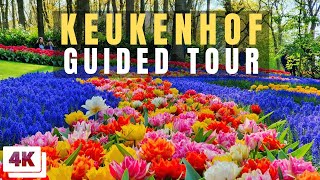 Keukenhof Full Guided Tour [upl. by Alikat485]