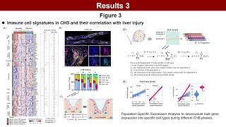 Liver transcriptomics to decipher the cause of intrahepatic inflammation in chronic hepatitis B [upl. by Oslec]