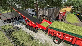 Silage work with small tractors and big conveyor  Farming Simulator 22 Farmers life [upl. by Tania]