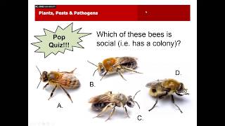 PPP February 2019  Pest and Plant Disease Issues in NC [upl. by Aicilram144]