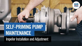 SelfPriming Pump Maintenance  Impeller Installation amp Adjustment [upl. by Bennet]