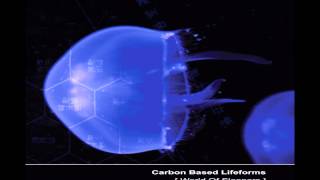 Carbon Based Lifeforms  World Of Sleepers Full Album [upl. by Revart409]