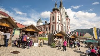 Doku Mariazeller Land  Geheimnisvolle Bergwelt zwischen Ötscherland und Hochschwab HD [upl. by Patric]