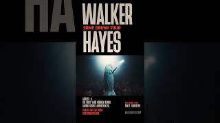 Walker Hayes  August 8 2024 concert liveevent countrymusic entertainment livemusic [upl. by Ateekahs803]