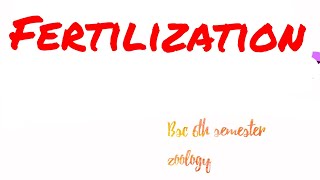 Fertilization  Capacitation Acrosome penetration  Bsc 6th semester zoology unit 5 [upl. by Retsila]