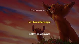 Bärenbruder  Phil Collins  Ich Bin Unterwegs Lyrics  Text  Letra español [upl. by Colman]