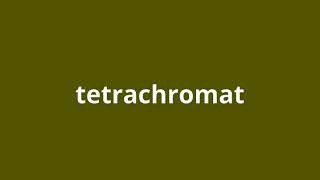 what is the meaning of tetrachromat [upl. by Meehar545]