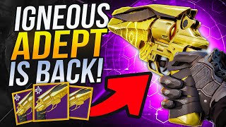 Igneous Hammer Adept is HERE is Better than ever  New perks [upl. by Shiroma]