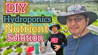 DIY Hydroponics Nutrients  Paano gumawa ng hydroponics nutrients [upl. by Anitreb]