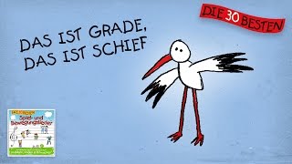 Das ist grade das ist schief  Die besten Spiel  und Bewegungslieder  Kinderlieder [upl. by Asirrak752]