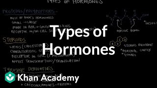 Types of hormones  Endocrine system physiology  NCLEXRN  Khan Academy [upl. by Guendolen]