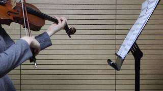 Rieding violin concerto op34 2nd Movement [upl. by Hayidan]