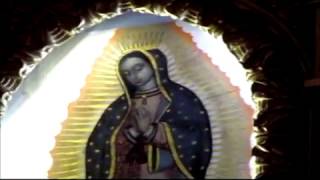 Santuario della Madonna di Guadalupe  Santo Stefano dAveto [upl. by Rape434]