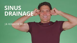 3 Sinus Headache Relief Exercises  Paranasal Sinus Drainage Massage [upl. by Wilkison]