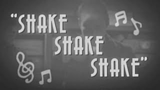 Bronze Radio Return  Shake Shake Shake Official Video [upl. by Kavanagh446]