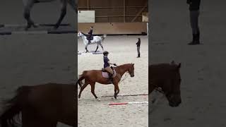 Transition Galop  Pas  Galop 🐴 [upl. by Silvain]