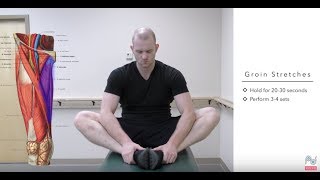 Top Treatments for a Pulled Groin  Groin Strain Exercises [upl. by Bluhm768]