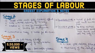 Stages of Labour  Labour  Easily explained  Hindi [upl. by Anyat]