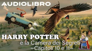 Harry Potter e la camera dei segreti  Lettura e Commento Cap 1011 Audiolibro [upl. by Sybley]