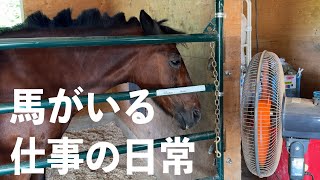 馬のいる仕事の日常 [upl. by Joan]