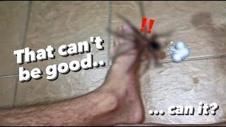 WATERING my TARANTULAS “Part 1 to 10”  throwback ALL EPISODES [upl. by Erny]