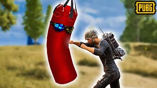 A Comedy of Errors  PUBG [upl. by Enidlarej]