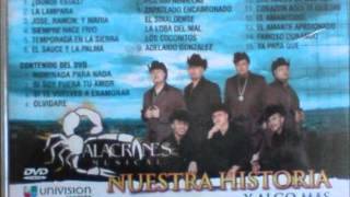 alacranes musical adelaido gonzalezwmv [upl. by Eornom413]