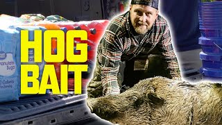 HOW TO Make HOMEMADE Hog Bait Hunting Wild Hogs in Alabama [upl. by Cavallaro644]