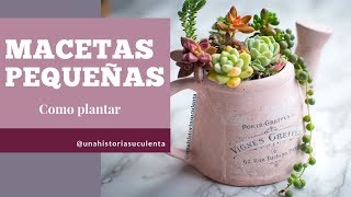 Como Plantar Suculentas en Macetas Pequeñas tips [upl. by Annaigroeg]