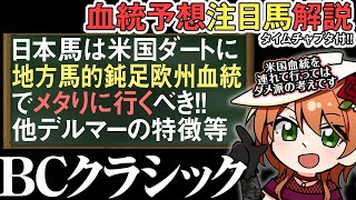 BCクラシック2024 日本馬は米国血統よりも地方血統≒激重欧州血統で赤土ダートに挑め！他デルマーの特徴等 四条大学血統ゼミ🏇🧬 [upl. by Nylloc]