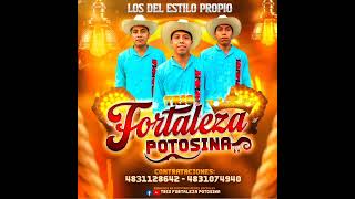 Tema Diseñame Trio Fortaleza Potosina De Santa María picula 4831074940 [upl. by Kendricks983]