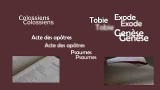 Lecture de la bible en continu [upl. by Nivel684]