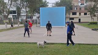 Frontón Pichanguero Dobles del 040824 Sadmiel y HamberT vs Paul y Rafa [upl. by Nathan25]