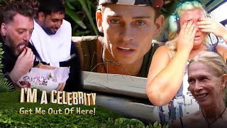 Im A Celebrity Get Me Out Of Here  2013  Trailer  ITV [upl. by Lednek]