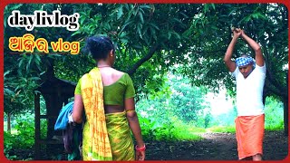 ଆଜିର vlog  dayli vlog😱👀😱  ajiravlog daylivlog tribemoduniya [upl. by Donica]