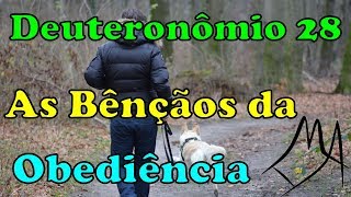 Deuteronômio 28  As Bênçãos da Obediência [upl. by Enelear]