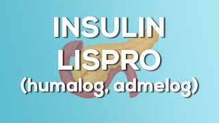 Insulin Lispro Humalog  Admelog Nursing Drug Card Simplified  Pharmacology [upl. by Brittany587]