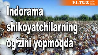 Indorama shikoyatchilarning og‘zini yopmoqda [upl. by Cardon]